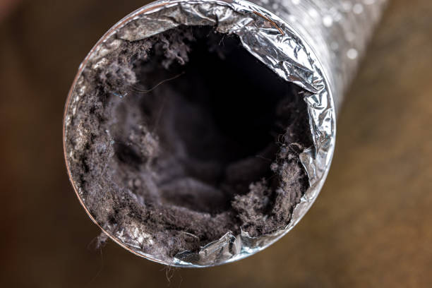 Best HVAC System Cleaning  in Granite Shoals, TX