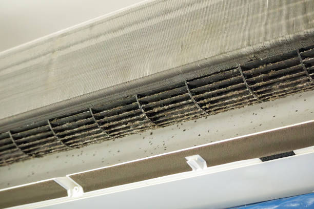 Best Emergency Air Duct Cleaning  in Granite Shoals, TX